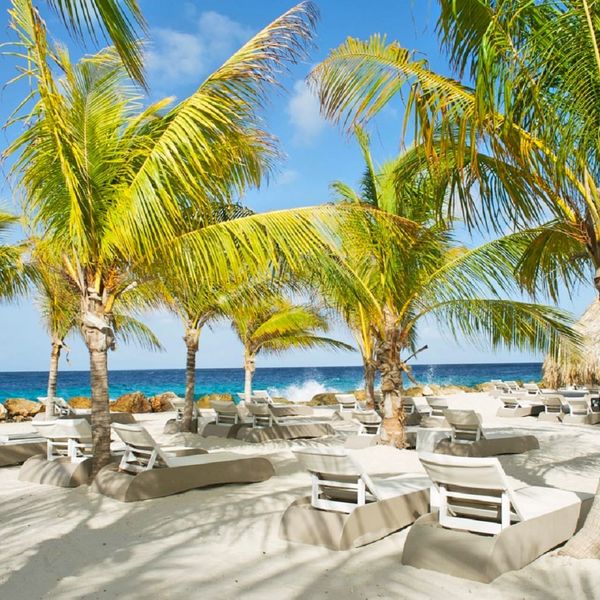 jan thiel en vista royal strand huizen die te koop zijn op curacao bij de makelaar van curacao