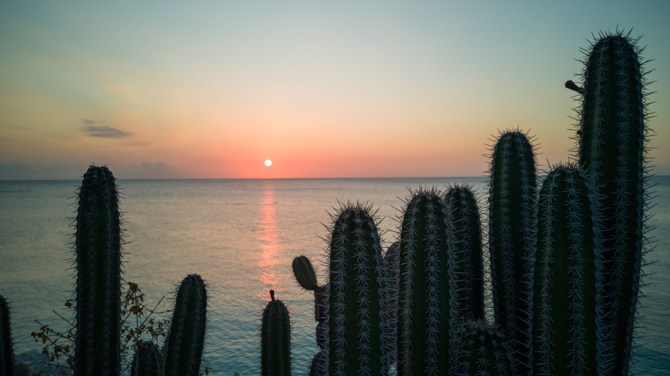 Akte van erfrecht Curacao