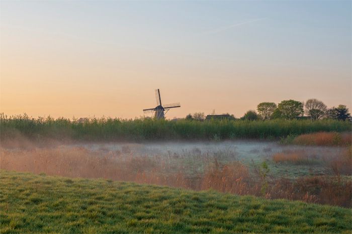 Hoeksche Waard