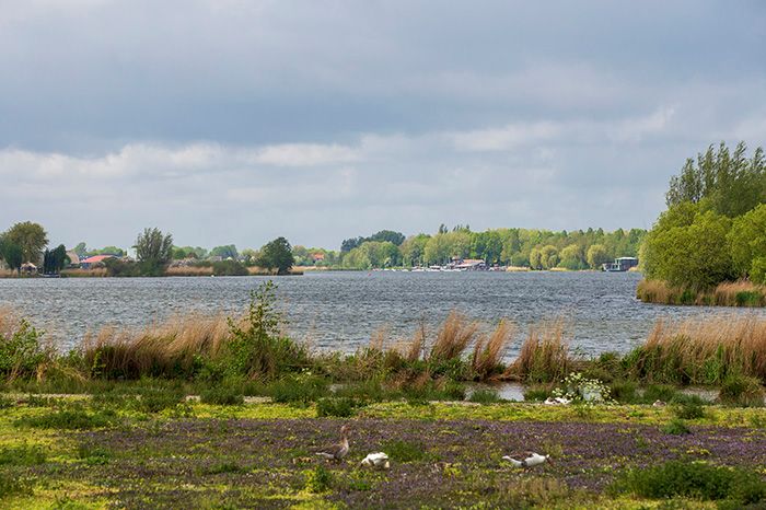 Hoeksche Waard
