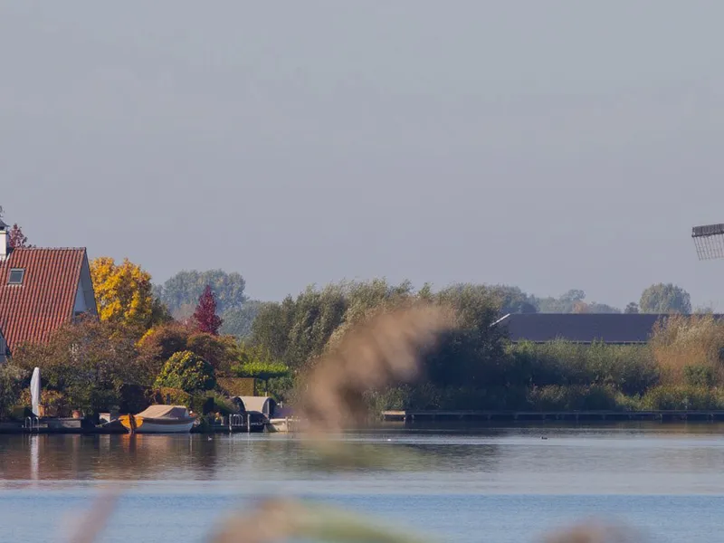 Maasdam