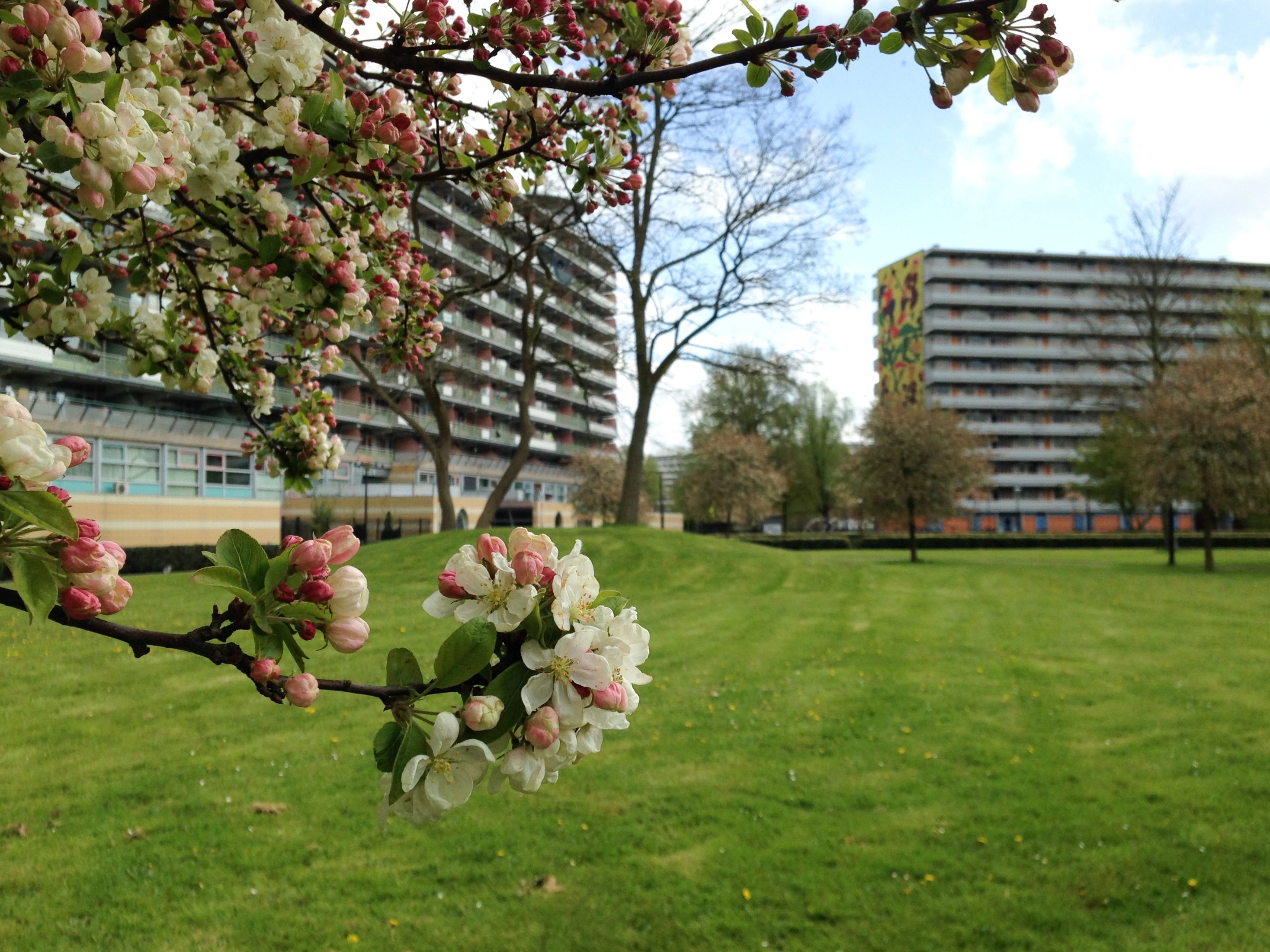 Zuidoost- flats