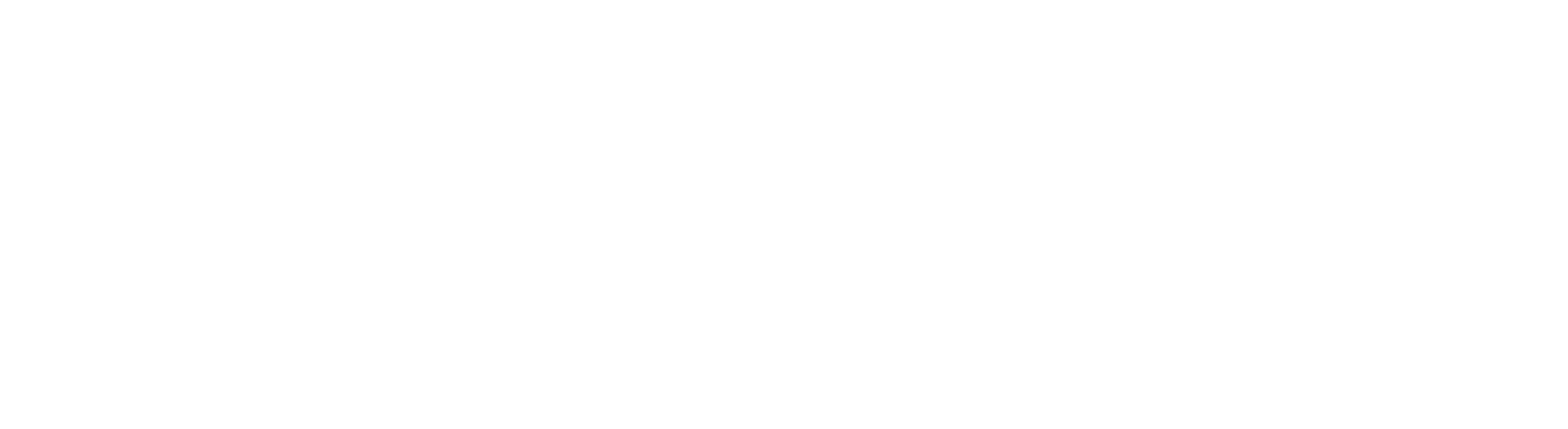 AAG Auctioneers