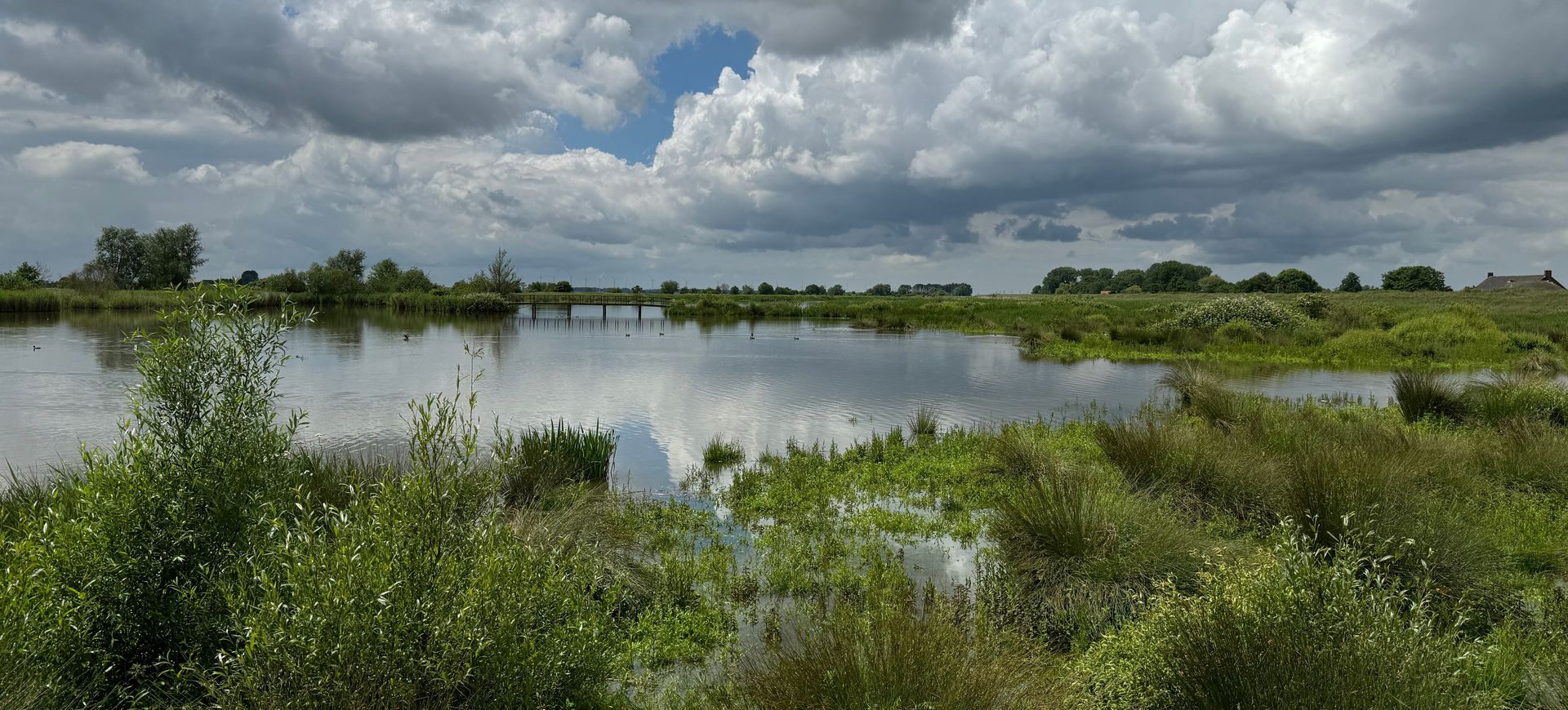 Omgeving met water