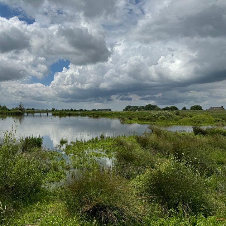 Omgeving met water